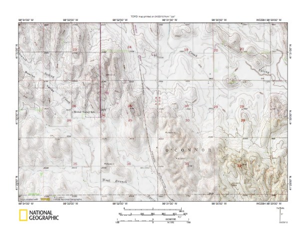 fig7detspringwbranch