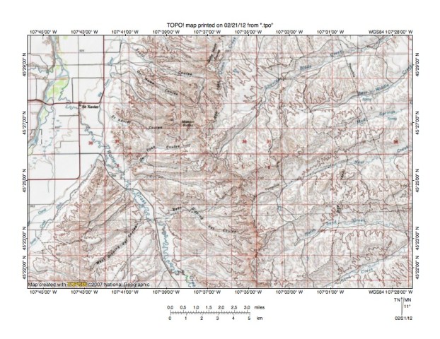 Fig5 RottenGrassNest