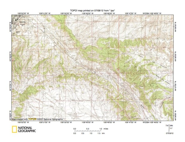 Fig10 detGreybullHolwinthe Ground